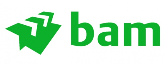 BAM Logo